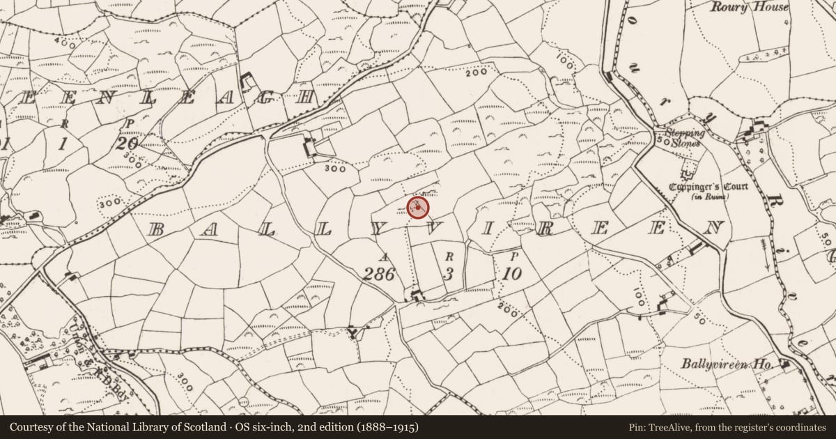 Ordnance Survey six-inch map, 2nd edition (1888–1915) covering the location of Cupmarked stone, Ballyvireen, County Cork, with a pin at the register's coordinates
