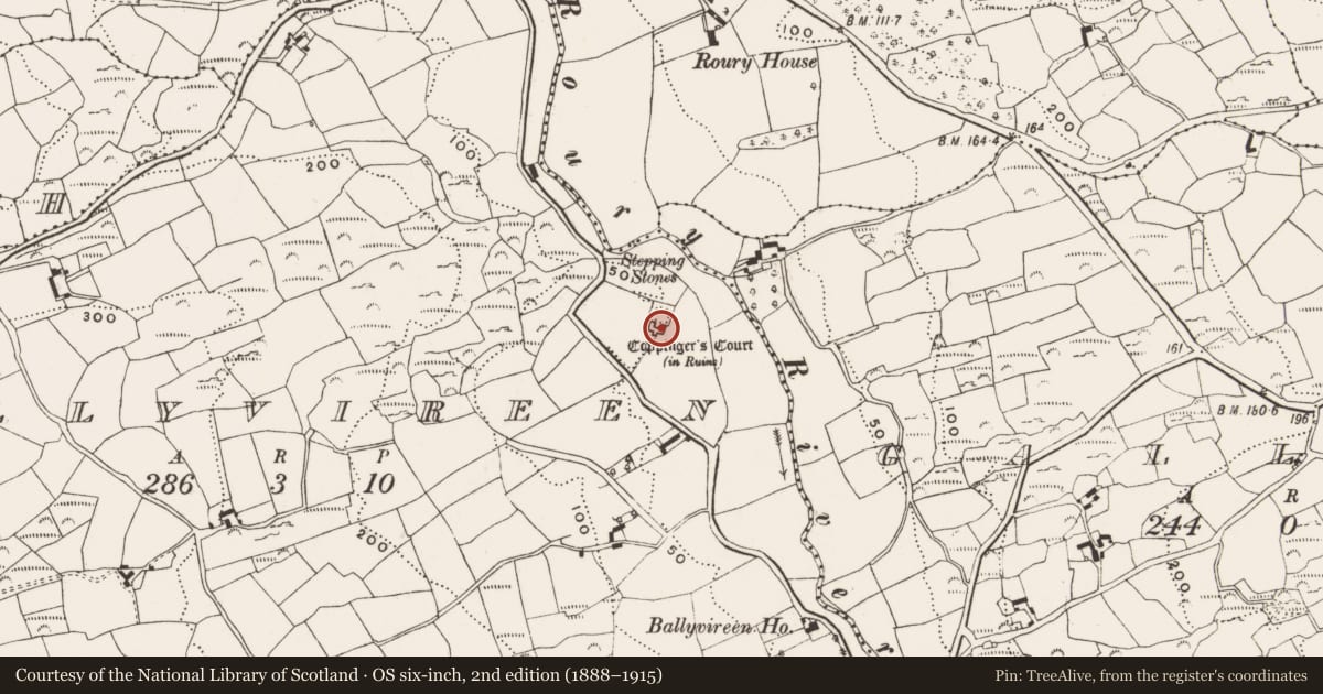 Ordnance Survey six-inch map, 2nd edition (1888–1915) covering the location of House - fortified house, Ballyvireen, County Cork, with a pin at the register's coordinates