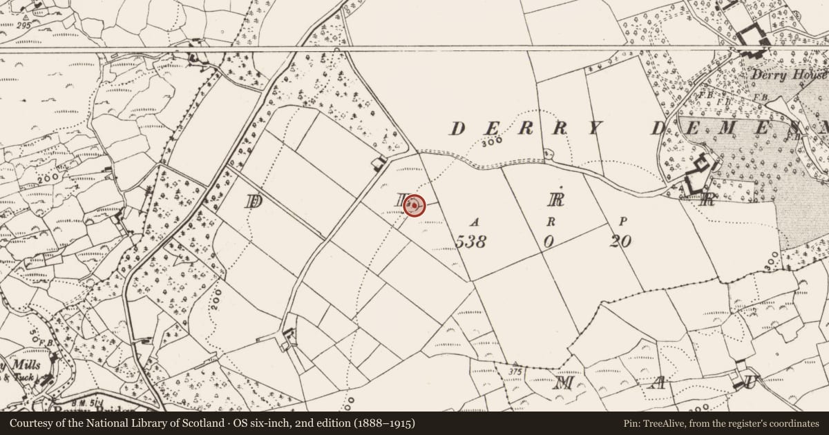 Ordnance Survey six-inch map, 2nd edition (1888–1915) covering the location of Ringfort - cashel, Derry (Carbery East (W.D.) By., Ross Par.), County Cork, with a pin at the register's coordinates