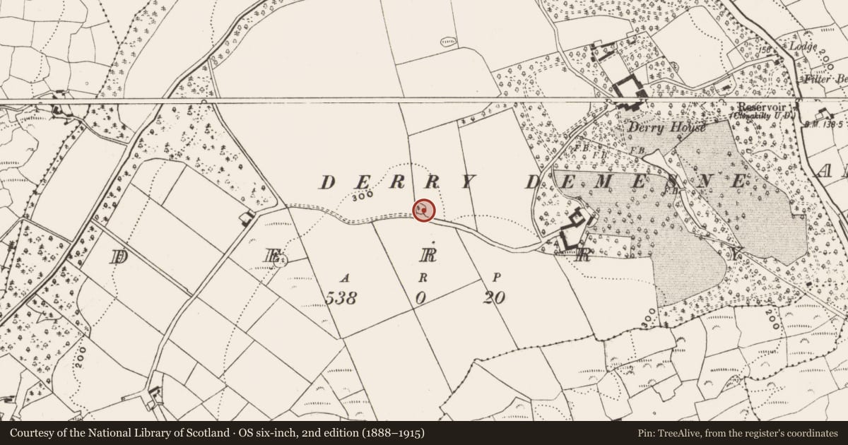 Ordnance Survey six-inch map, 2nd edition (1888–1915) covering the location of Ringfort - rath, Derry (Carbery East (W.D.) By., Ross Par.), County Cork, with a pin at the register's coordinates