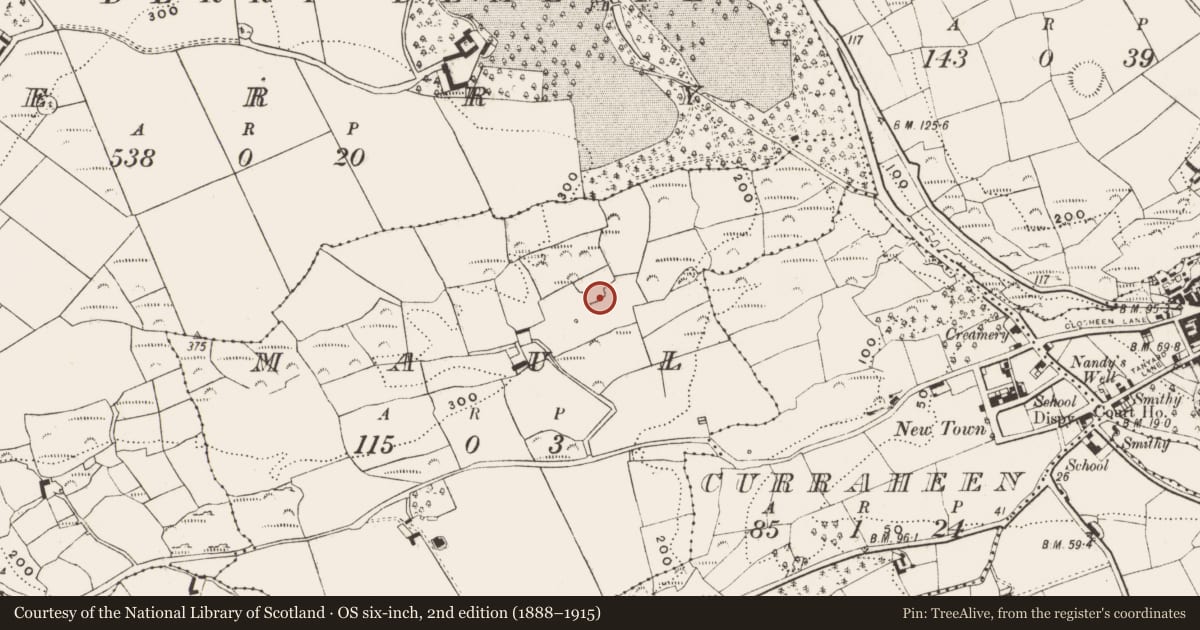 Ordnance Survey six-inch map, 2nd edition (1888–1915) covering the location of Enclosure, Maul, County Cork, with a pin at the register's coordinates
