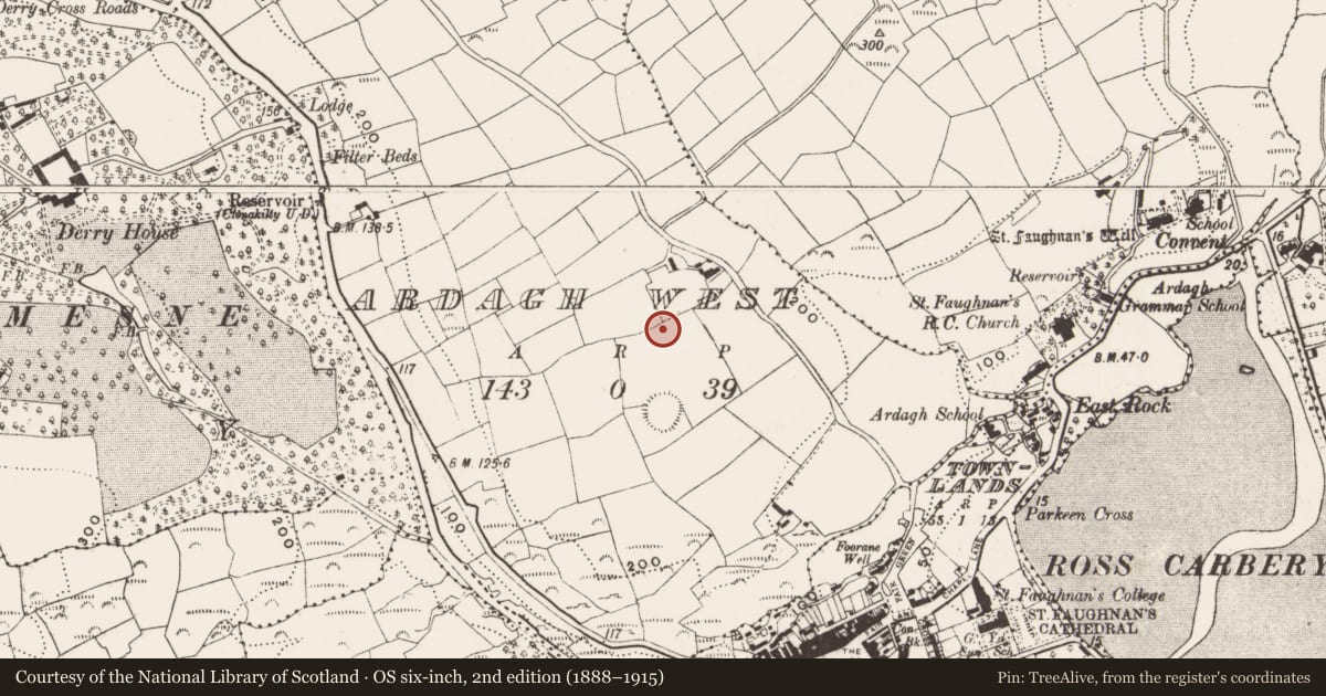 Ordnance Survey six-inch map, 2nd edition (1888–1915) covering the location of Standing stone, Ardagh West, County Cork, with a pin at the register's coordinates