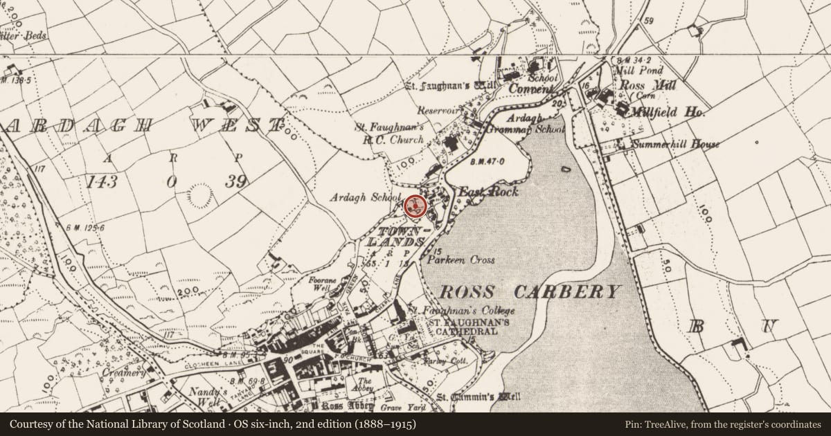 Ordnance Survey six-inch map, 2nd edition (1888–1915) covering the location of Church, Town Lands, County Cork, with a pin at the register's coordinates