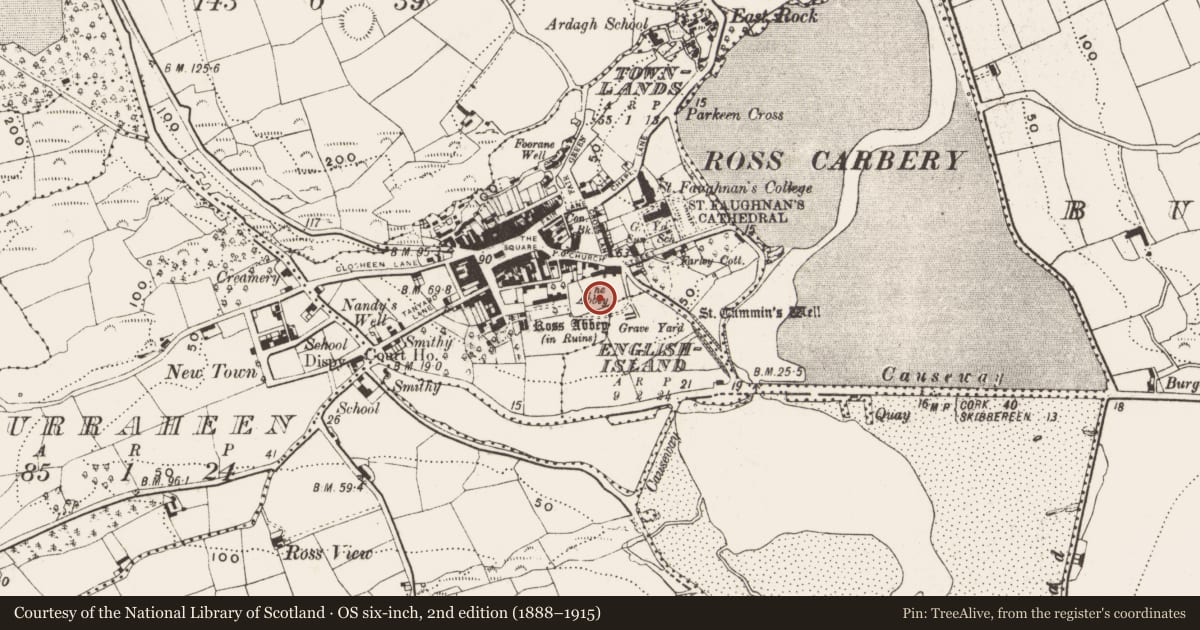 Ordnance Survey six-inch map, 2nd edition (1888–1915) covering the location of Ecclesiastical site, Town Lands, County Cork, with a pin at the register's coordinates