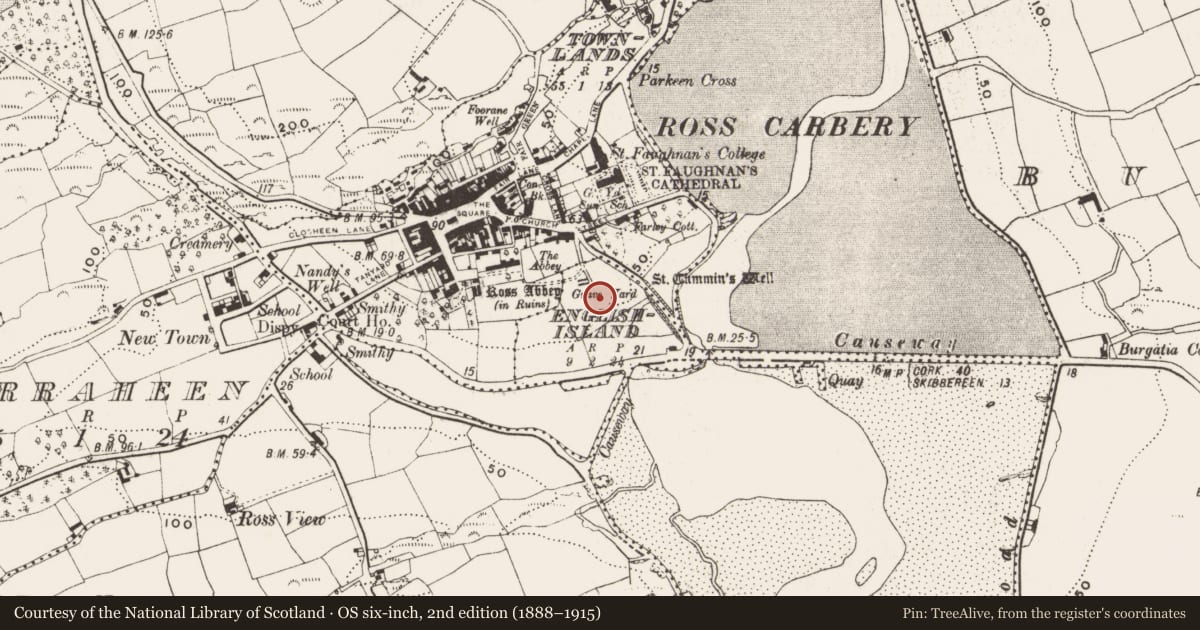 Ordnance Survey six-inch map, 2nd edition (1888–1915) covering the location of Graveyard, English Island, County Cork, with a pin at the register's coordinates