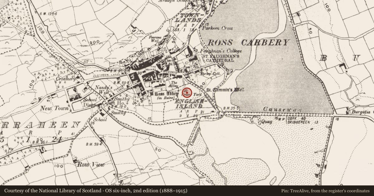 Ordnance Survey six-inch map, 2nd edition (1888–1915) covering the location of Religious house - Benedictine monks, English Island, County Cork, with a pin at the register's coordinates