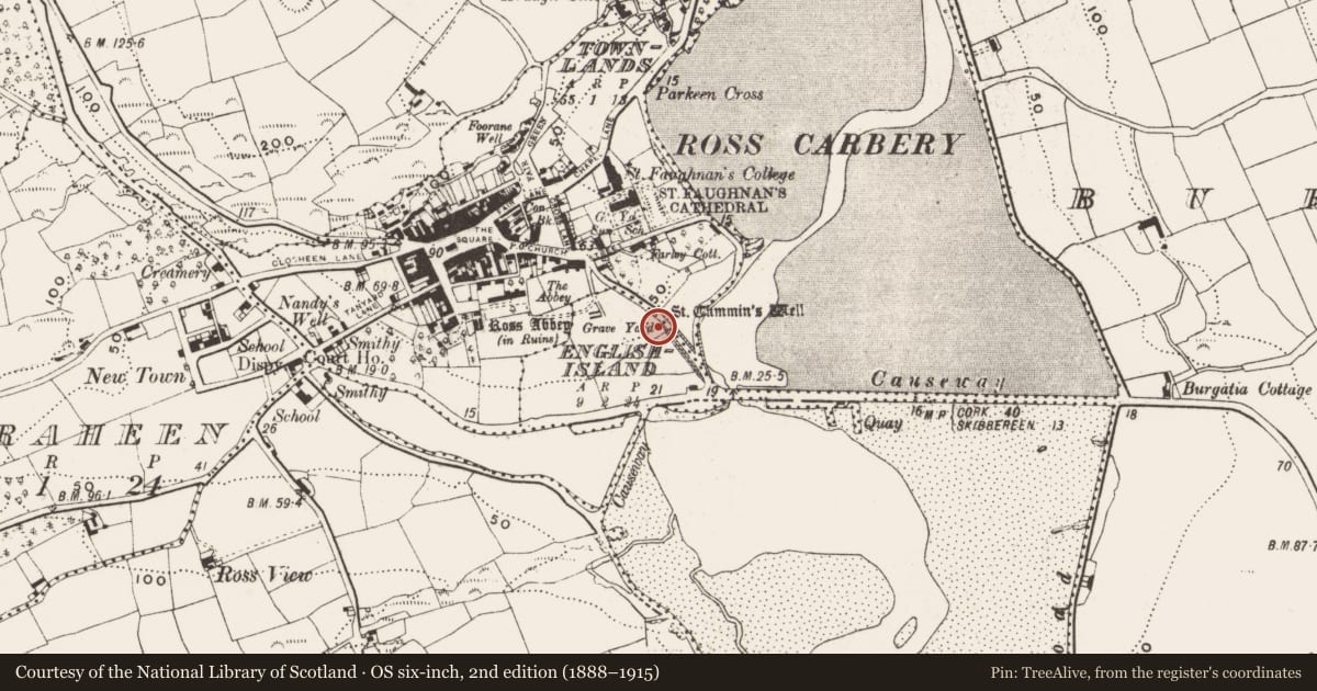 Ordnance Survey six-inch map, 2nd edition (1888–1915) covering the location of Ritual site - holy well, English Island, County Cork, with a pin at the register's coordinates