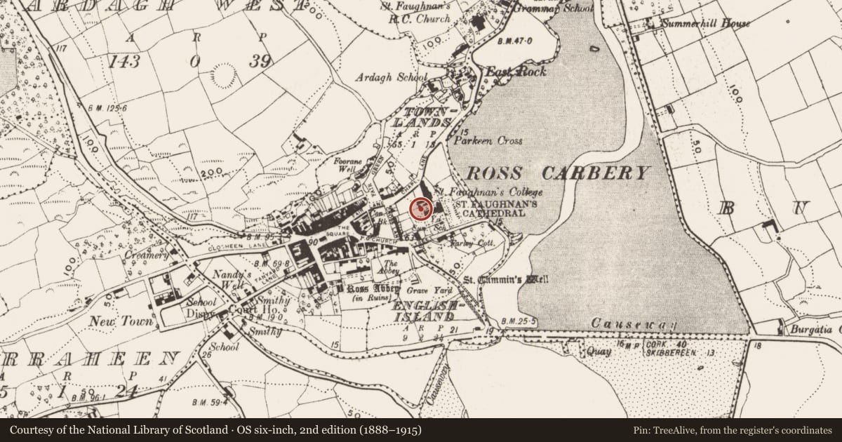 Ordnance Survey six-inch map, 2nd edition (1888–1915) covering the location of Souterrain, Town Lands, County Cork, with a pin at the register's coordinates
