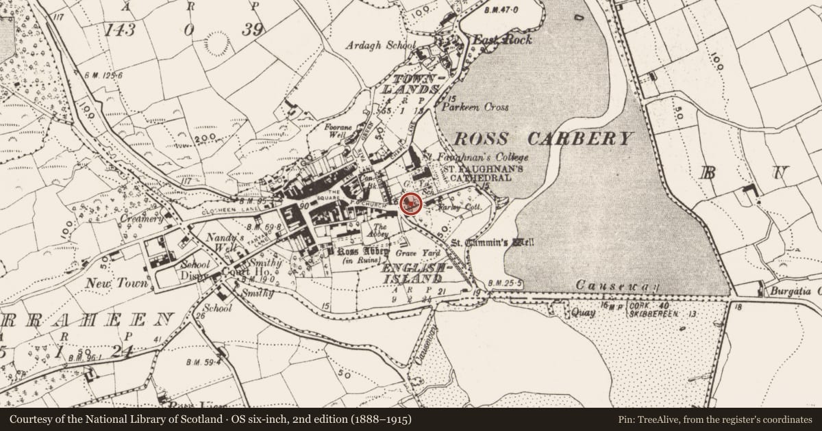 Ordnance Survey six-inch map, 2nd edition (1888–1915) covering the location of School, Town Lands, County Cork, with a pin at the register's coordinates