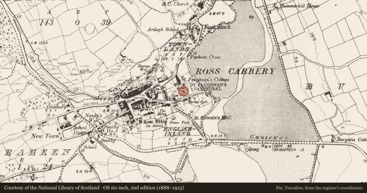 Ordnance Survey six-inch map, 2nd edition (1888–1915) covering the location of Graveyard, Town Lands, County Cork, with a pin at the register's coordinates
