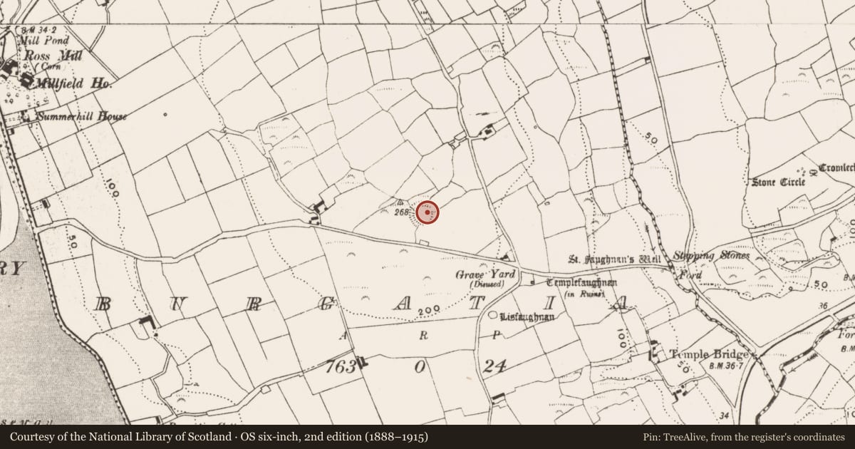 Ordnance Survey six-inch map, 2nd edition (1888–1915) covering the location of Hut site, Burgatia, County Cork, with a pin at the register's coordinates