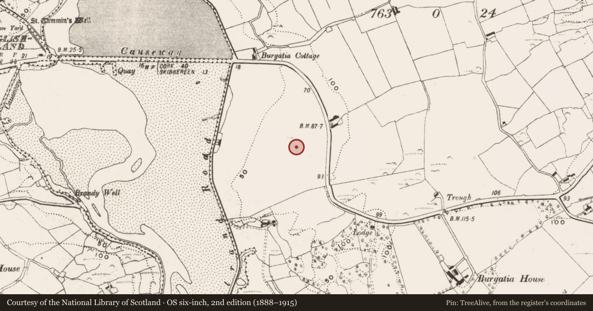 Ordnance Survey six-inch map, 2nd edition (1888–1915) covering the location of Standing stone, Burgatia, County Cork, with a pin at the register's coordinates