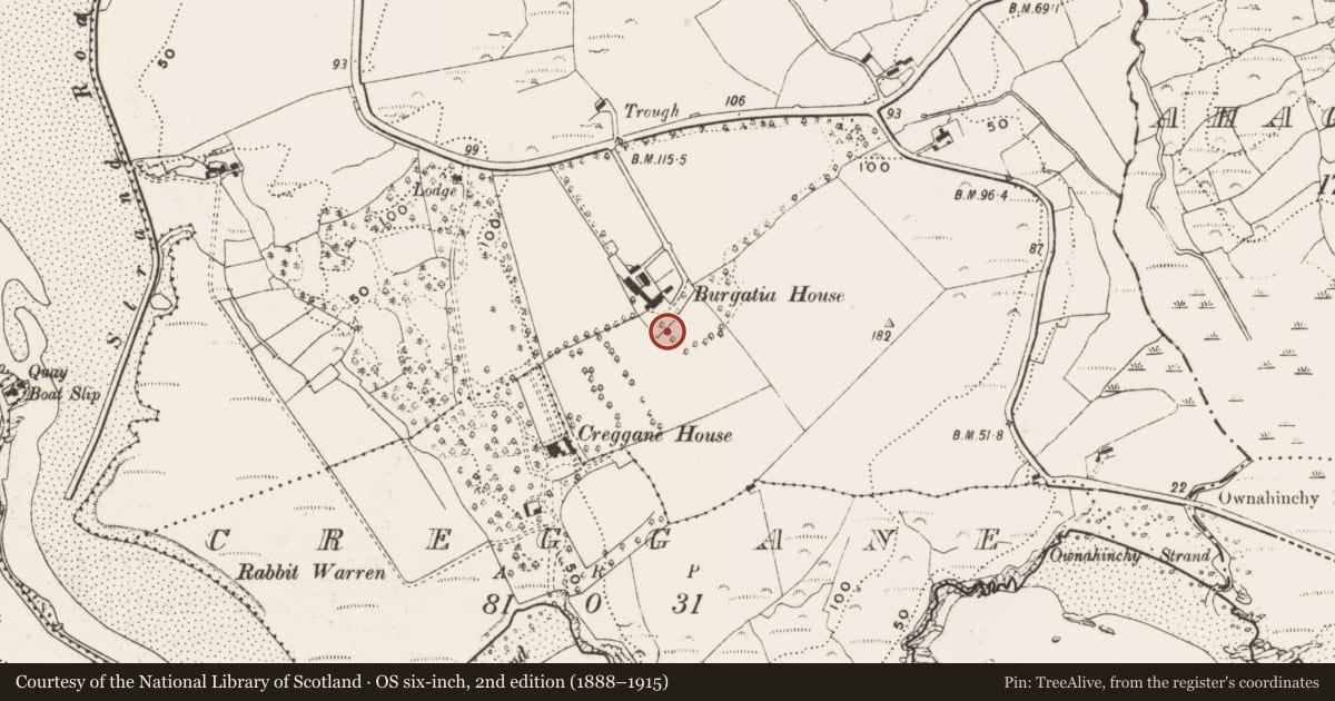 Ordnance Survey six-inch map, 2nd edition (1888–1915) covering the location of Standing stone, Burgatia, County Cork, with a pin at the register's coordinates