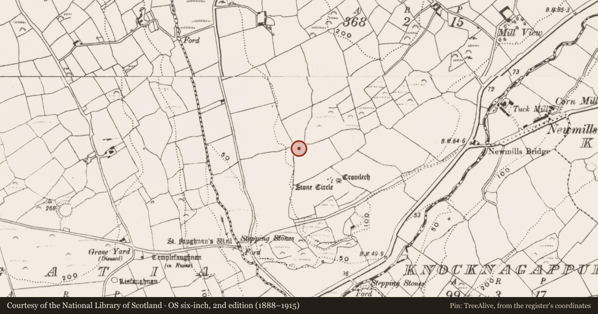 Ordnance Survey six-inch map, 2nd edition (1888–1915) covering the location of Enclosure, Bohonagh, County Cork, with a pin at the register's coordinates