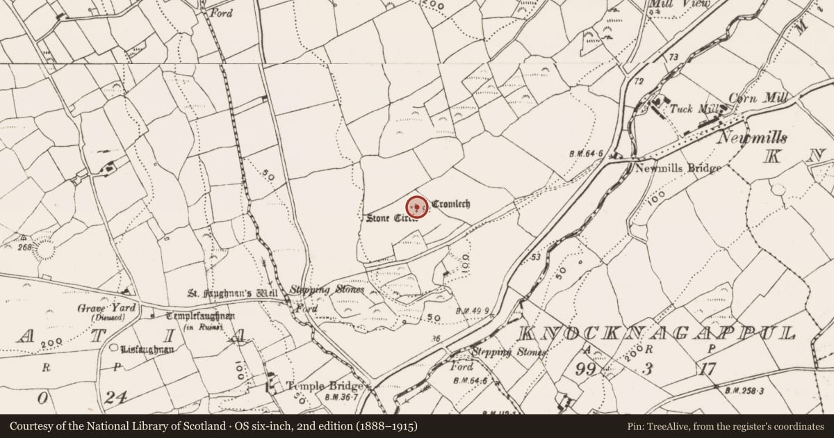 Ordnance Survey six-inch map, 2nd edition (1888–1915) covering the location of Stone circle - multiple-stone, Bohonagh, County Cork, with a pin at the register's coordinates