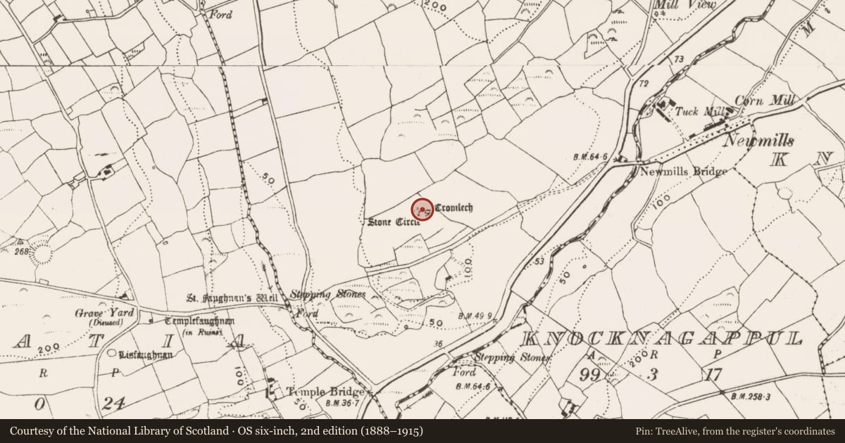 Ordnance Survey six-inch map, 2nd edition (1888–1915) covering the location of Cupmarked stone, Bohonagh, County Cork, with a pin at the register's coordinates