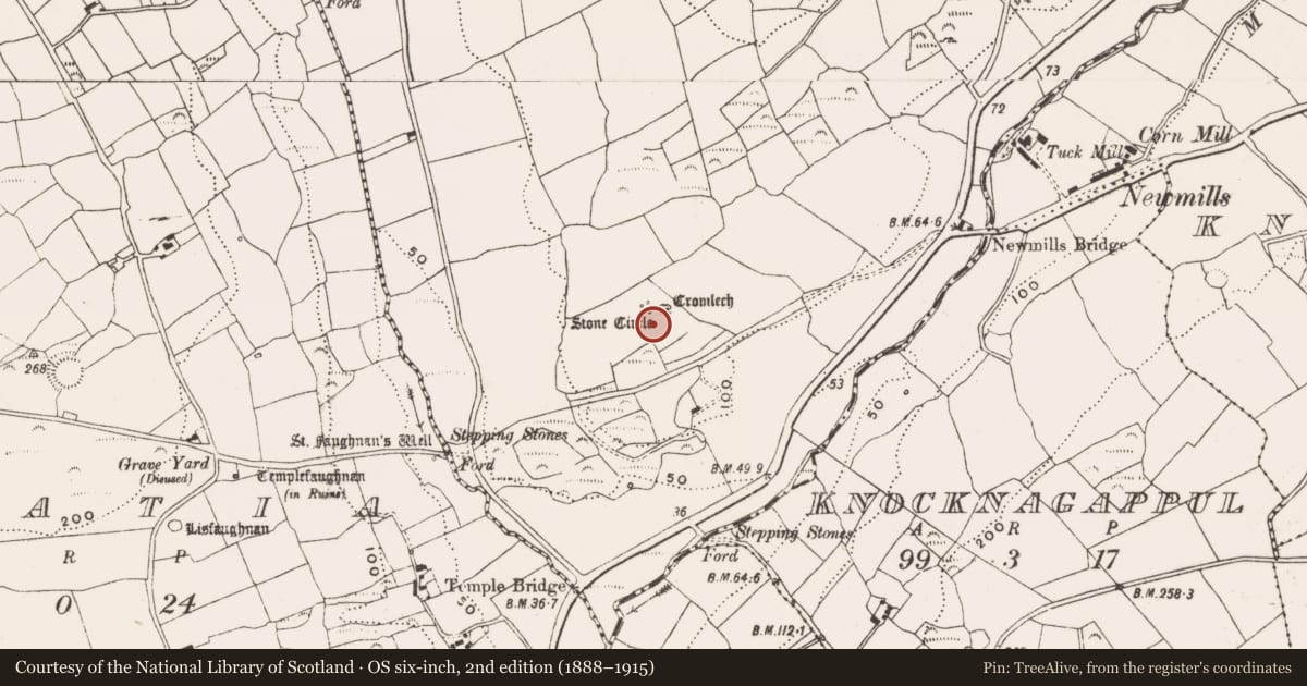 Ordnance Survey six-inch map, 2nd edition (1888–1915) covering the location of Hut site, Bohonagh, County Cork, with a pin at the register's coordinates