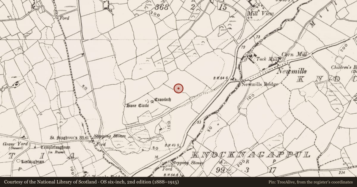 Ordnance Survey six-inch map, 2nd edition (1888–1915) covering the location of Standing stone, Bohonagh, County Cork, with a pin at the register's coordinates