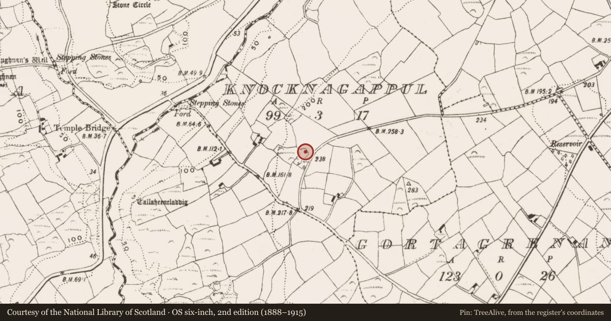 Ordnance Survey six-inch map, 2nd edition (1888–1915) covering the location of Ringfort - rath, Knocknagappul, County Cork, with a pin at the register's coordinates