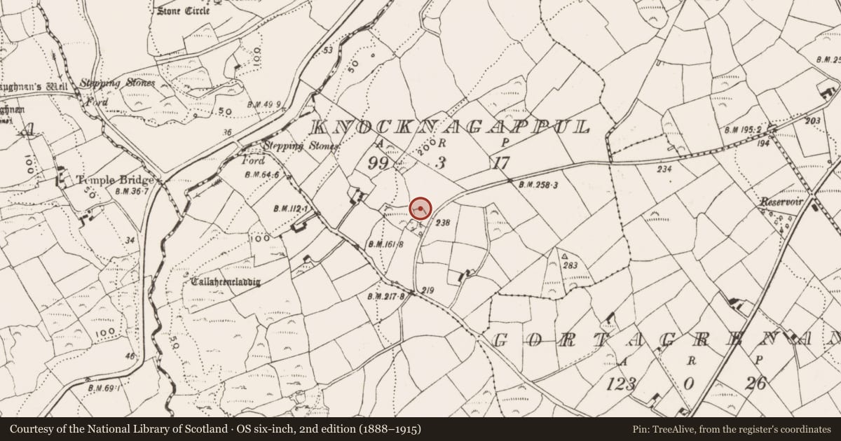 Ordnance Survey six-inch map, 2nd edition (1888–1915) covering the location of Standing stone, Knocknagappul, County Cork, with a pin at the register's coordinates