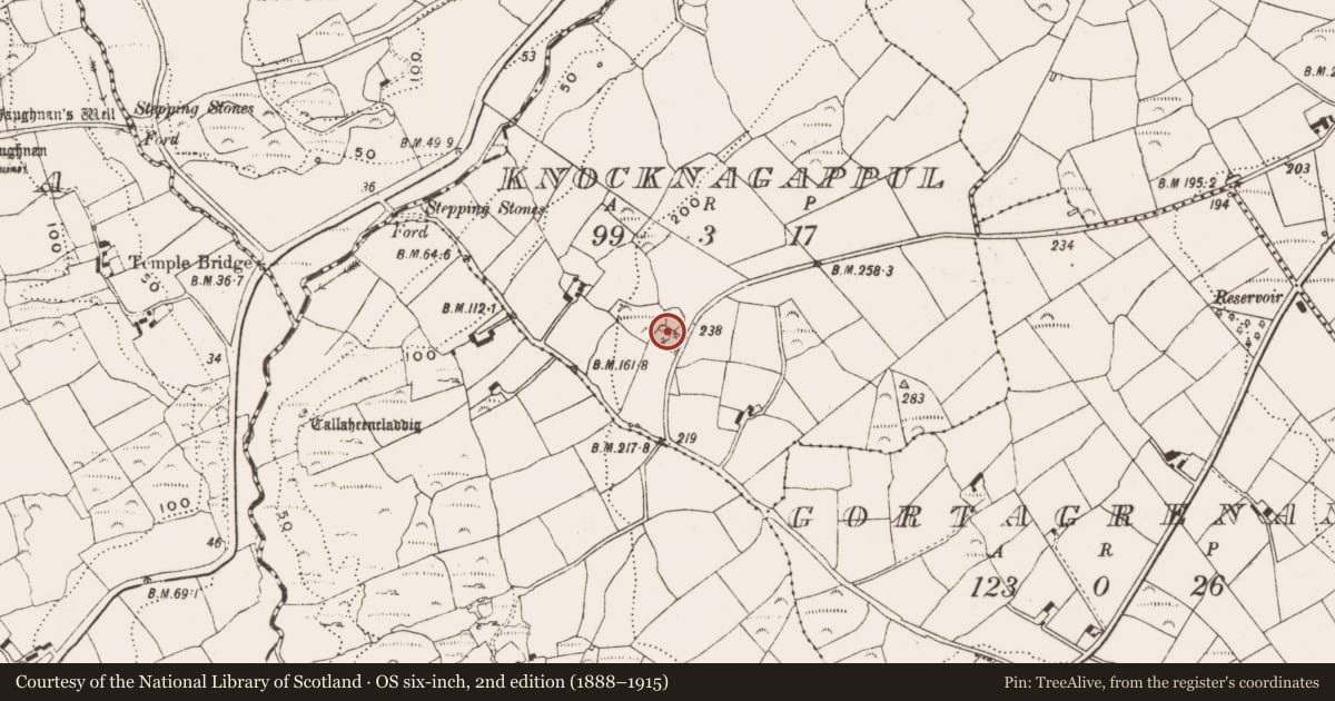 Ordnance Survey six-inch map, 2nd edition (1888–1915) covering the location of Ringfort - rath, Knocknagappul, County Cork, with a pin at the register's coordinates