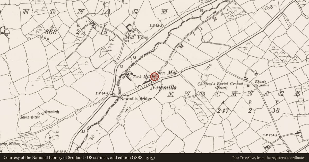 Ordnance Survey six-inch map, 2nd edition (1888–1915) covering the location of Mill - fulling, Knocknageehy, County Cork, with a pin at the register's coordinates