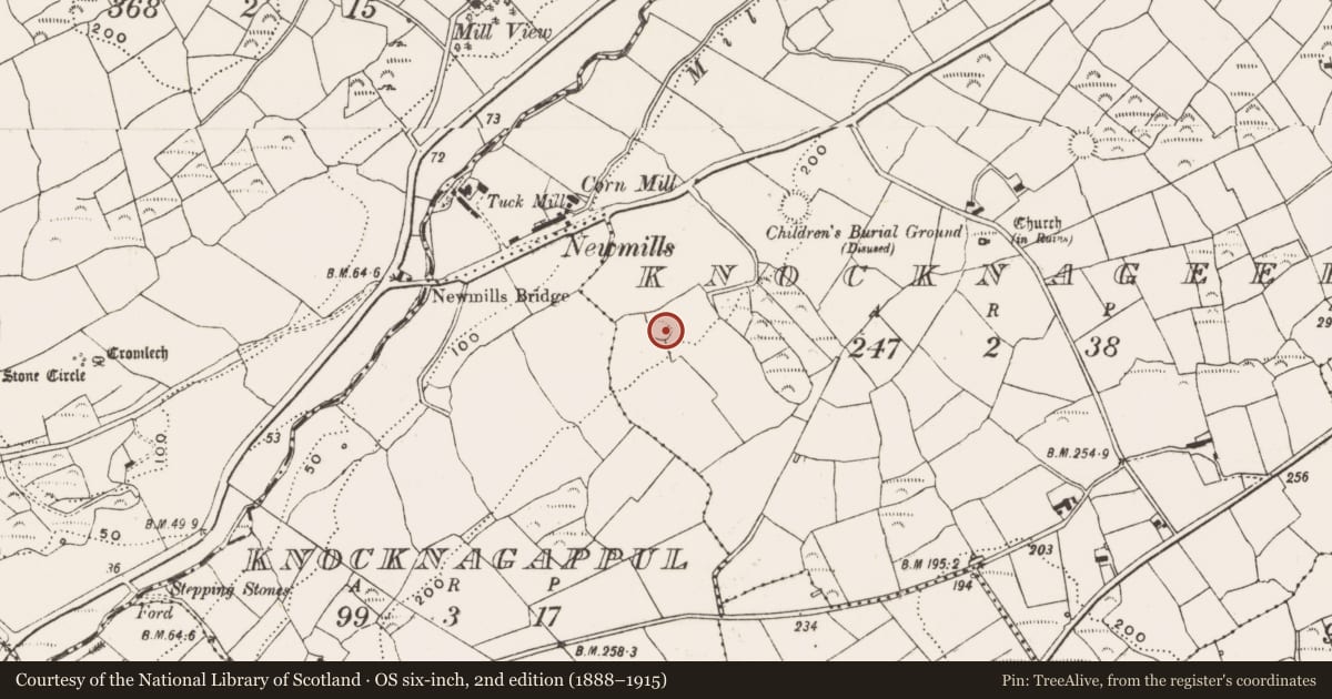 Ordnance Survey six-inch map, 2nd edition (1888–1915) covering the location of Ringfort - rath, Knocknageehy, County Cork, with a pin at the register's coordinates
