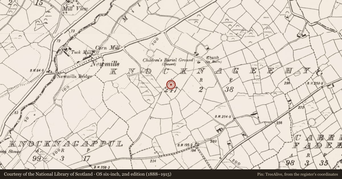 Ordnance Survey six-inch map, 2nd edition (1888–1915) covering the location of Fulacht fia, Knocknageehy, County Cork, with a pin at the register's coordinates