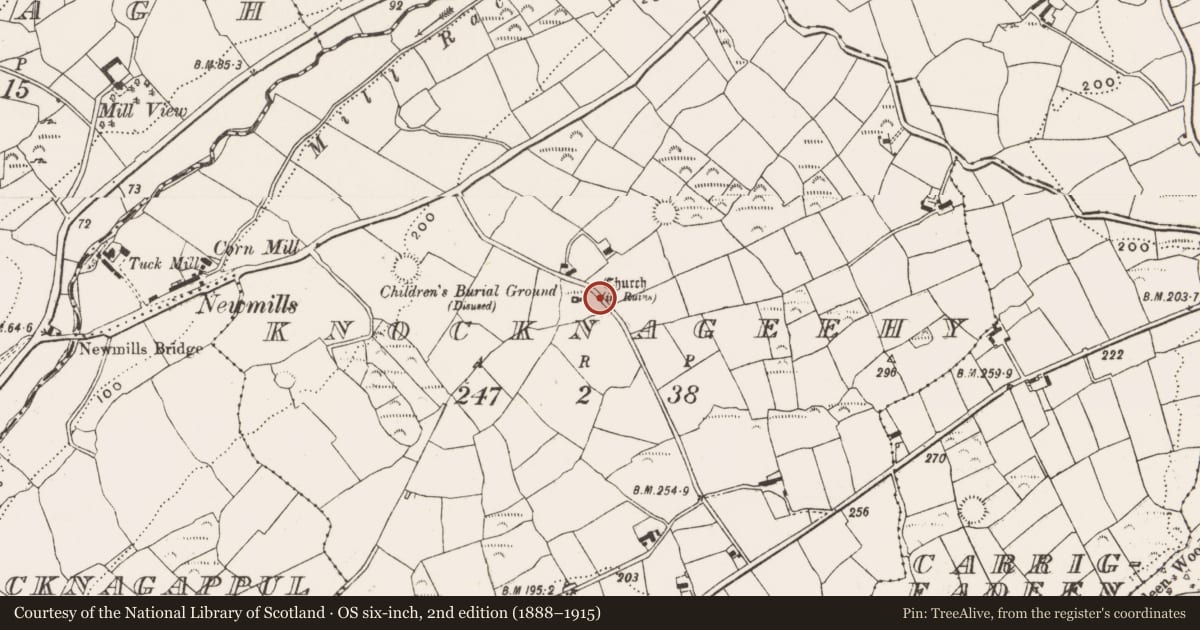 Ordnance Survey six-inch map, 2nd edition (1888–1915) covering the location of Stone sculpture, Knocknageehy, County Cork, with a pin at the register's coordinates