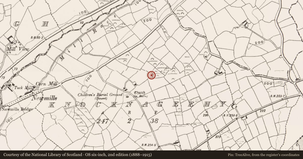Ordnance Survey six-inch map, 2nd edition (1888–1915) covering the location of Ringfort - rath, Knocknageehy, County Cork, with a pin at the register's coordinates