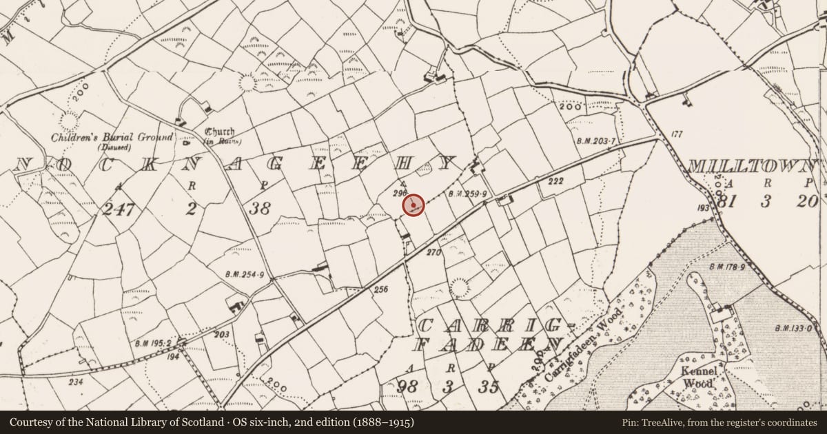 Ordnance Survey six-inch map, 2nd edition (1888–1915) covering the location of Ringfort - rath, Knocknageehy, County Cork, with a pin at the register's coordinates