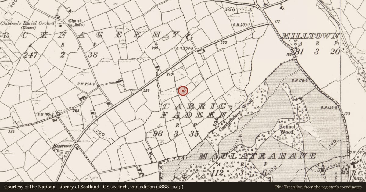 Ordnance Survey six-inch map, 2nd edition (1888–1915) covering the location of Ringfort - rath, Carrigfadeen, County Cork, with a pin at the register's coordinates