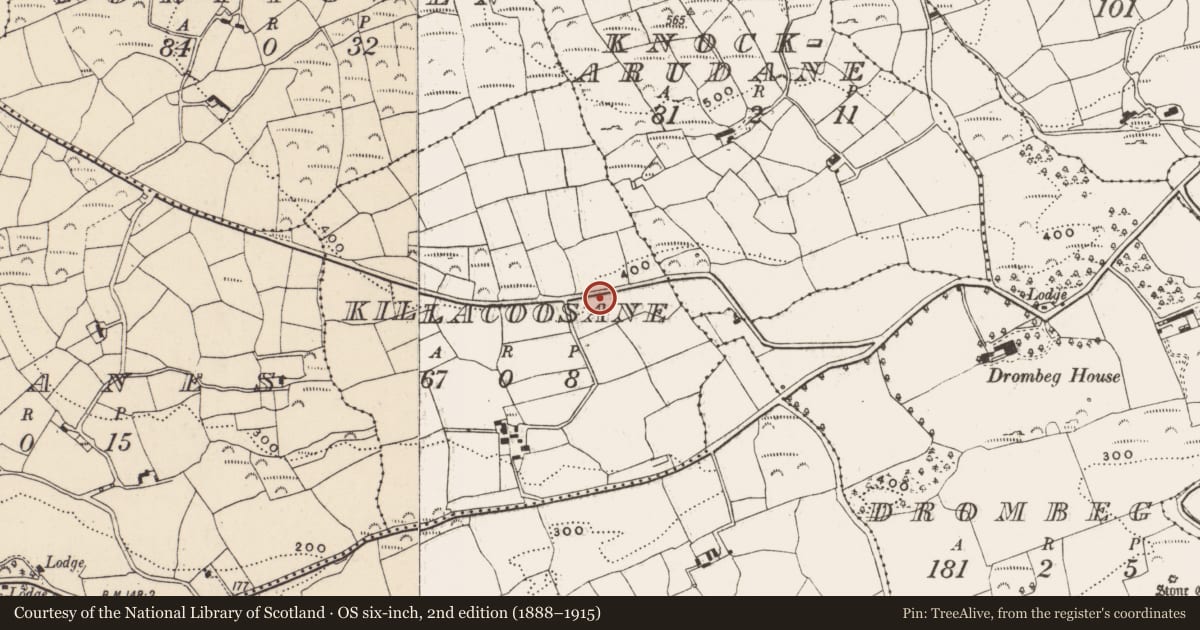 Ordnance Survey six-inch map, 2nd edition (1888–1915) covering the location of Standing stone, Killacoosane, County Cork, with a pin at the register's coordinates