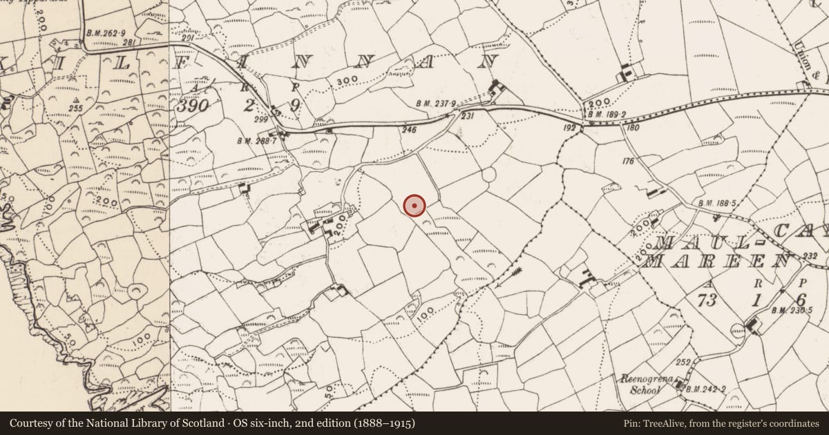 Ordnance Survey six-inch map, 2nd edition (1888–1915) covering the location of Fulacht fia, Kilfinnan, County Cork, with a pin at the register's coordinates