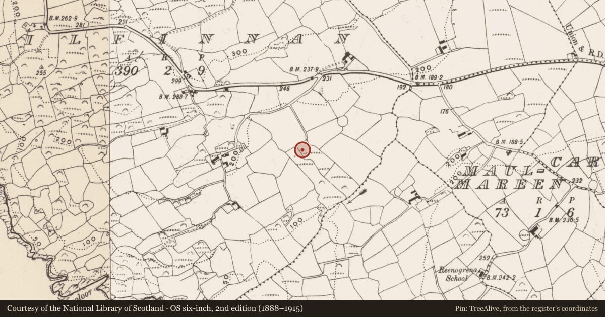 Ordnance Survey six-inch map, 2nd edition (1888–1915) covering the location of Fulacht fia, Kilfinnan, County Cork, with a pin at the register's coordinates