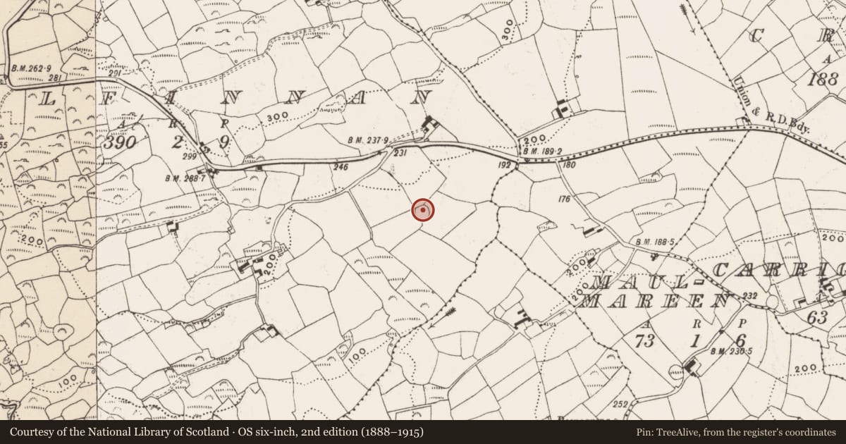 Ordnance Survey six-inch map, 2nd edition (1888–1915) covering the location of Souterrain, Kilfinnan, County Cork, with a pin at the register's coordinates