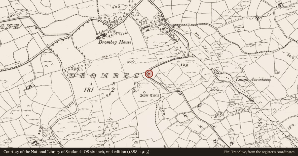 Ordnance Survey six-inch map, 2nd edition (1888–1915) covering the location of Ringfort - rath, Cregg, County Cork, with a pin at the register's coordinates