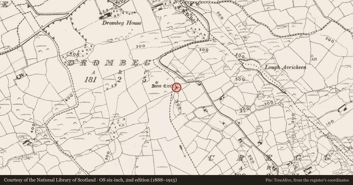 Ordnance Survey six-inch map, 2nd edition (1888–1915) covering the location of Fulacht fia, Cregg, County Cork, with a pin at the register's coordinates