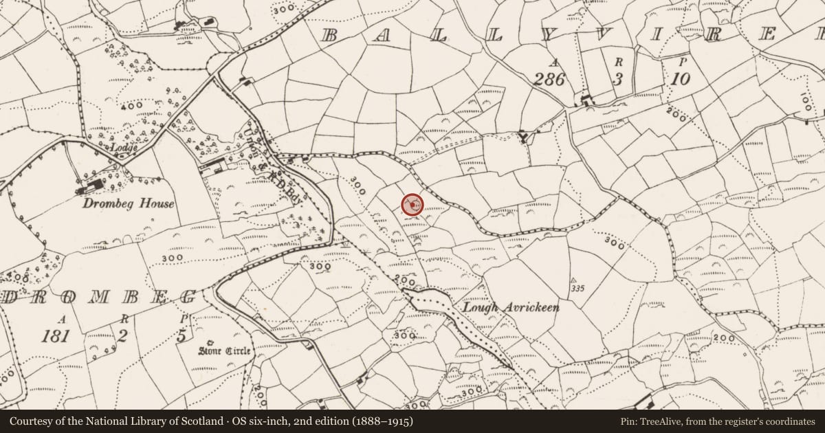 Ordnance Survey six-inch map, 2nd edition (1888–1915) covering the location of Ringfort - rath, Tralong, County Cork, with a pin at the register's coordinates