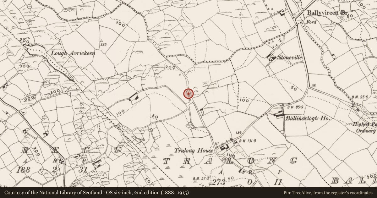 Ordnance Survey six-inch map, 2nd edition (1888–1915) covering the location of Church, Tralong, County Cork, with a pin at the register's coordinates