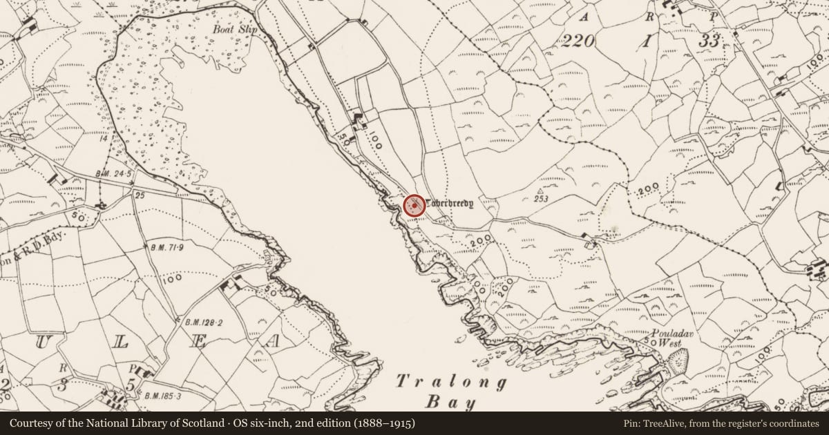 Ordnance Survey six-inch map, 2nd edition (1888–1915) covering the location of Ritual site - holy well, Tralong, County Cork, with a pin at the register's coordinates