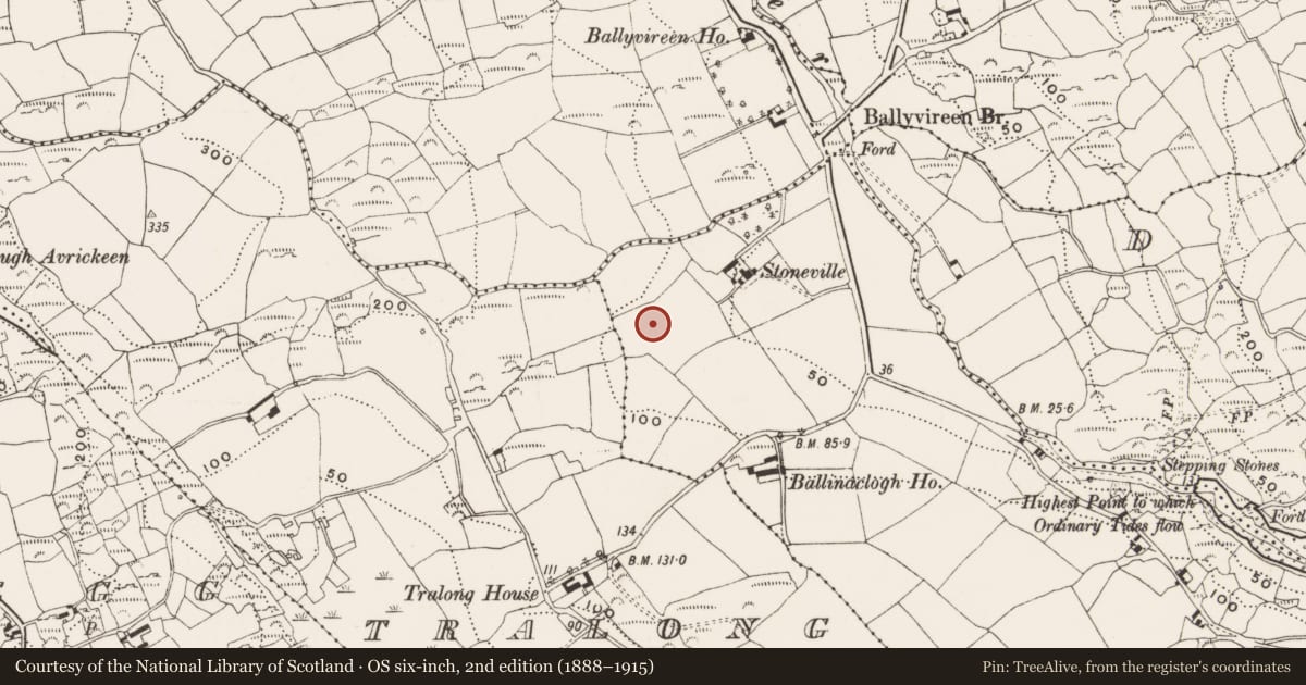 Ordnance Survey six-inch map, 2nd edition (1888–1915) covering the location of Standing stone, Ballinaclogh, County Cork, with a pin at the register's coordinates