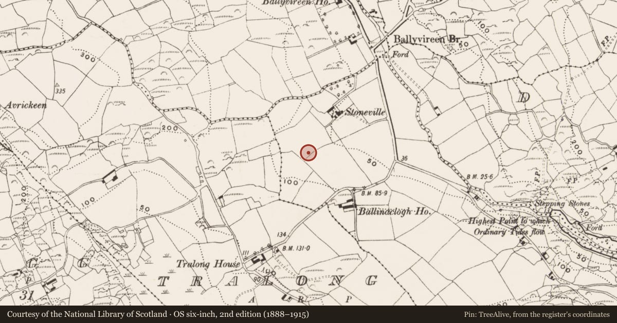 Ordnance Survey six-inch map, 2nd edition (1888–1915) covering the location of Cupmarked stone, Ballinaclogh, County Cork, with a pin at the register's coordinates