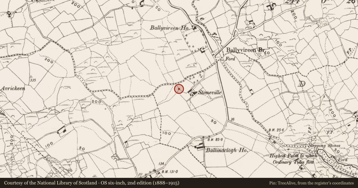 Ordnance Survey six-inch map, 2nd edition (1888–1915) covering the location of Ringfort - rath, Ballinaclogh, County Cork, with a pin at the register's coordinates