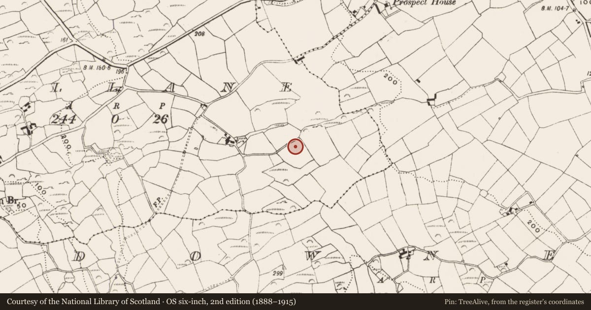 Ordnance Survey six-inch map, 2nd edition (1888–1915) covering the location of Souterrain, Gallane, County Cork, with a pin at the register's coordinates