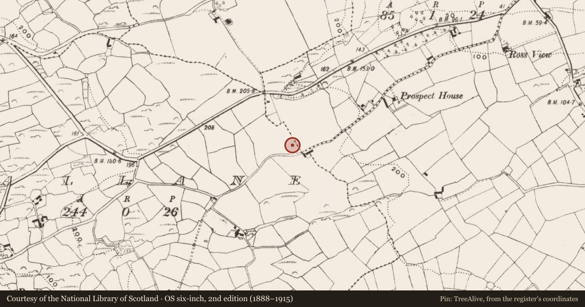Ordnance Survey six-inch map, 2nd edition (1888–1915) covering the location of Ringfort - rath, Gallane, County Cork, with a pin at the register's coordinates