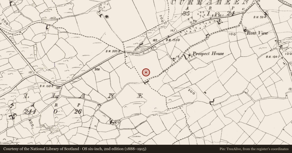 Ordnance Survey six-inch map, 2nd edition (1888–1915) covering the location of Standing stone, Curraheen, County Cork, with a pin at the register's coordinates
