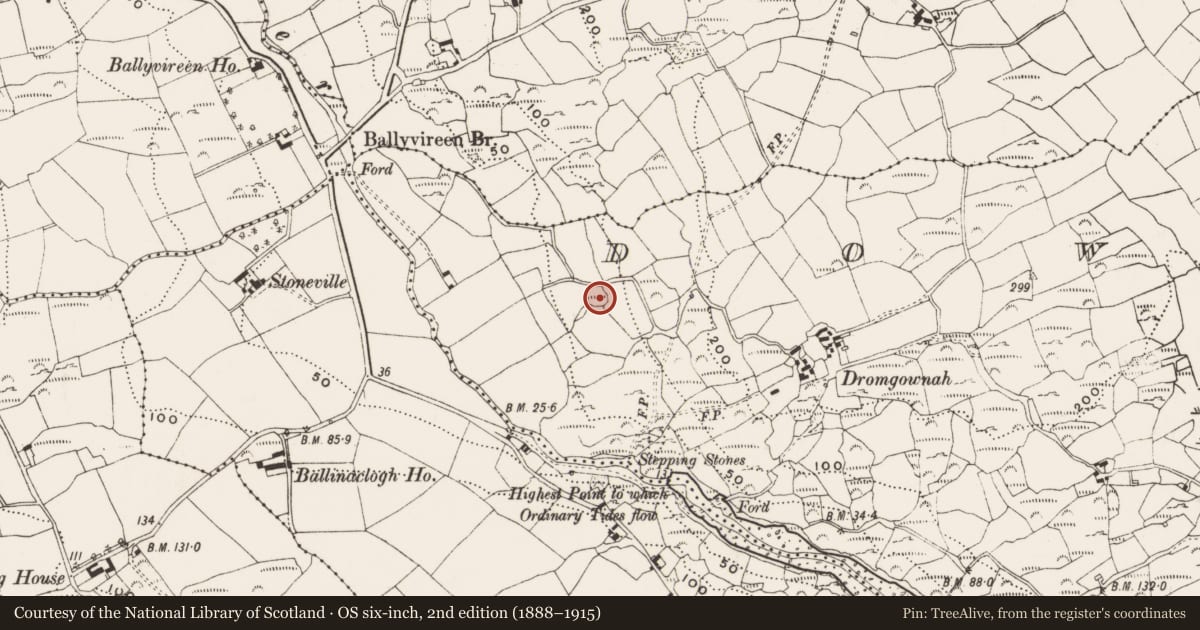 Ordnance Survey six-inch map, 2nd edition (1888–1915) covering the location of Enclosure, Downeen, County Cork, with a pin at the register's coordinates