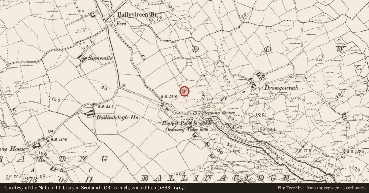 Ordnance Survey six-inch map, 2nd edition (1888–1915) covering the location of Ringfort - rath, Downeen, County Cork, with a pin at the register's coordinates