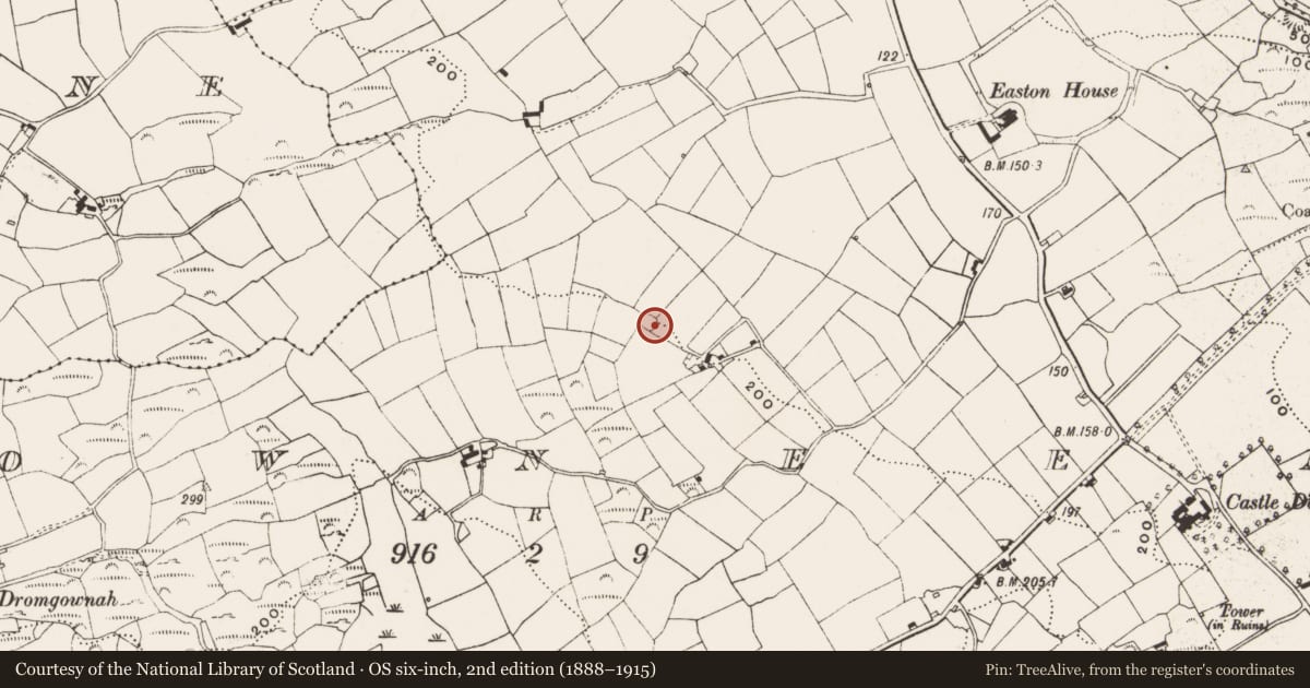 Ordnance Survey six-inch map, 2nd edition (1888–1915) covering the location of Ringfort - rath, Downeen, County Cork, with a pin at the register's coordinates